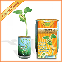 Nature's Greeting Friends Forever Growing Kit