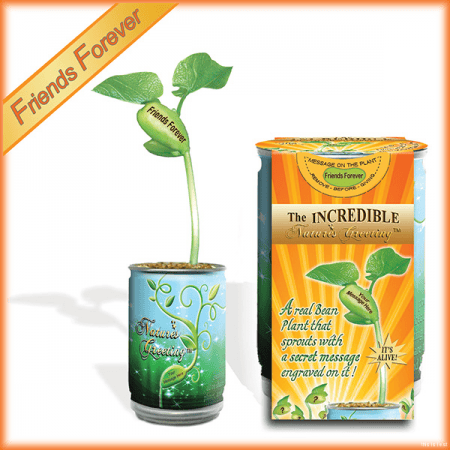 Nature's Greeting Friends Forever Growing Kit