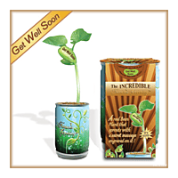 Nature's Greeting Get Well Soon Growing Kit