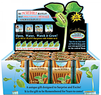 Nature's Greeting Get Well Soon Growing Kit