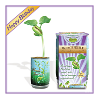 Nature's Greeting Happy Birthday Growing Kit