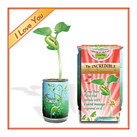 Nature's Greeting I Love You Growing Kit