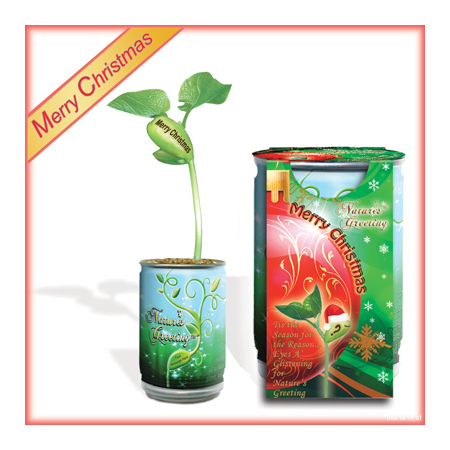Nature's Greeting Merry Christmas Growing Kit