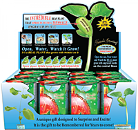 Nature's Greeting Merry Christmas Growing Kit