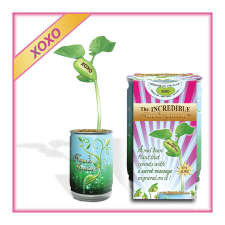 XOXO Nature's Greeting Growing Kit