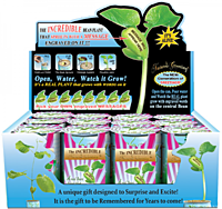 XOXO Nature's Greeting Growing Kit