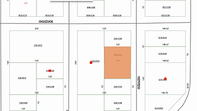 2 Lots Unnamed Selma Ave. - Affordable .44 Acre Vacant Lot Interlachen, FL