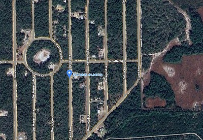 David Avenue - Affordable .22 Acre Lot in Interlachen