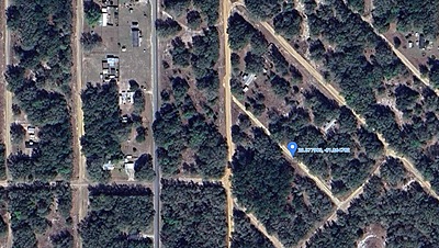 Alan Dr. & Kitty Ave. - Affordable .22 Acre Vacant Lot in Interlachen