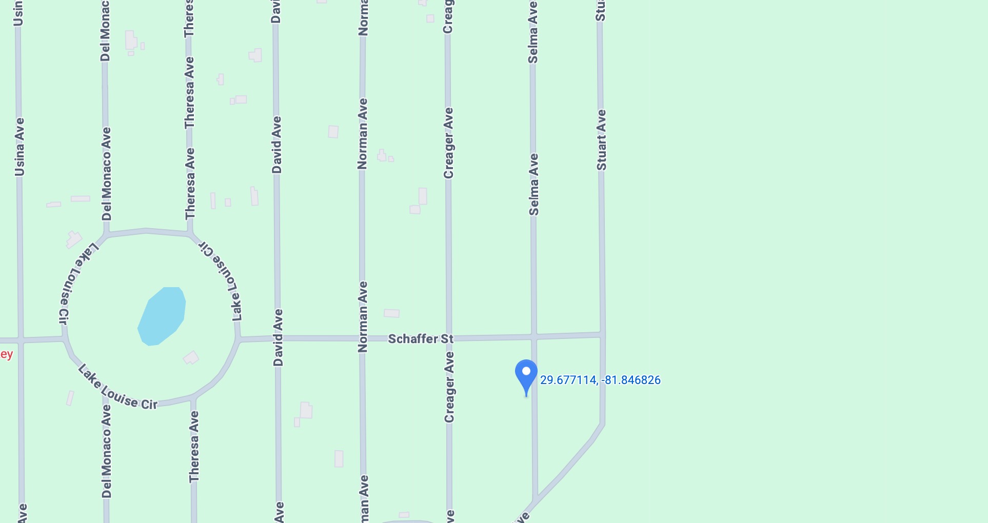 Unnamed Selma Ave. - Affordable .22 Acre Vacant Lot Interlachen, FL