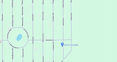 Unnamed Selma Ave. - Affordable .22 Acre Vacant Lot Interlachen, FL