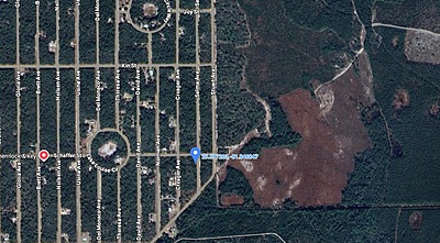Unnamed Selma Ave. - Affordable .22 Acre Vacant Lot Interlachen, FL