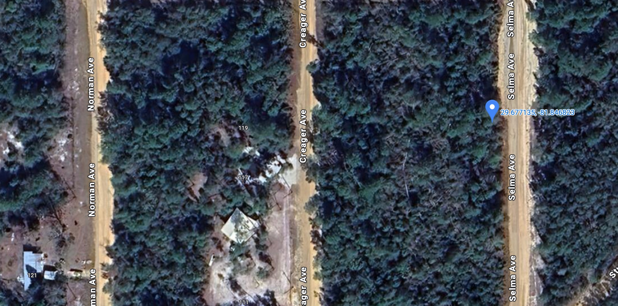 Unnamed Selma Ave. - Affordable .22 Acre Vacant Lot Interlachen, FL