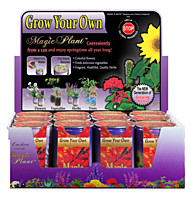 Maple Tree Growing Kit - Water, Watch it Grow!