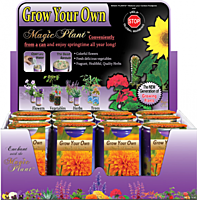 Marigold Flower Growing Kit