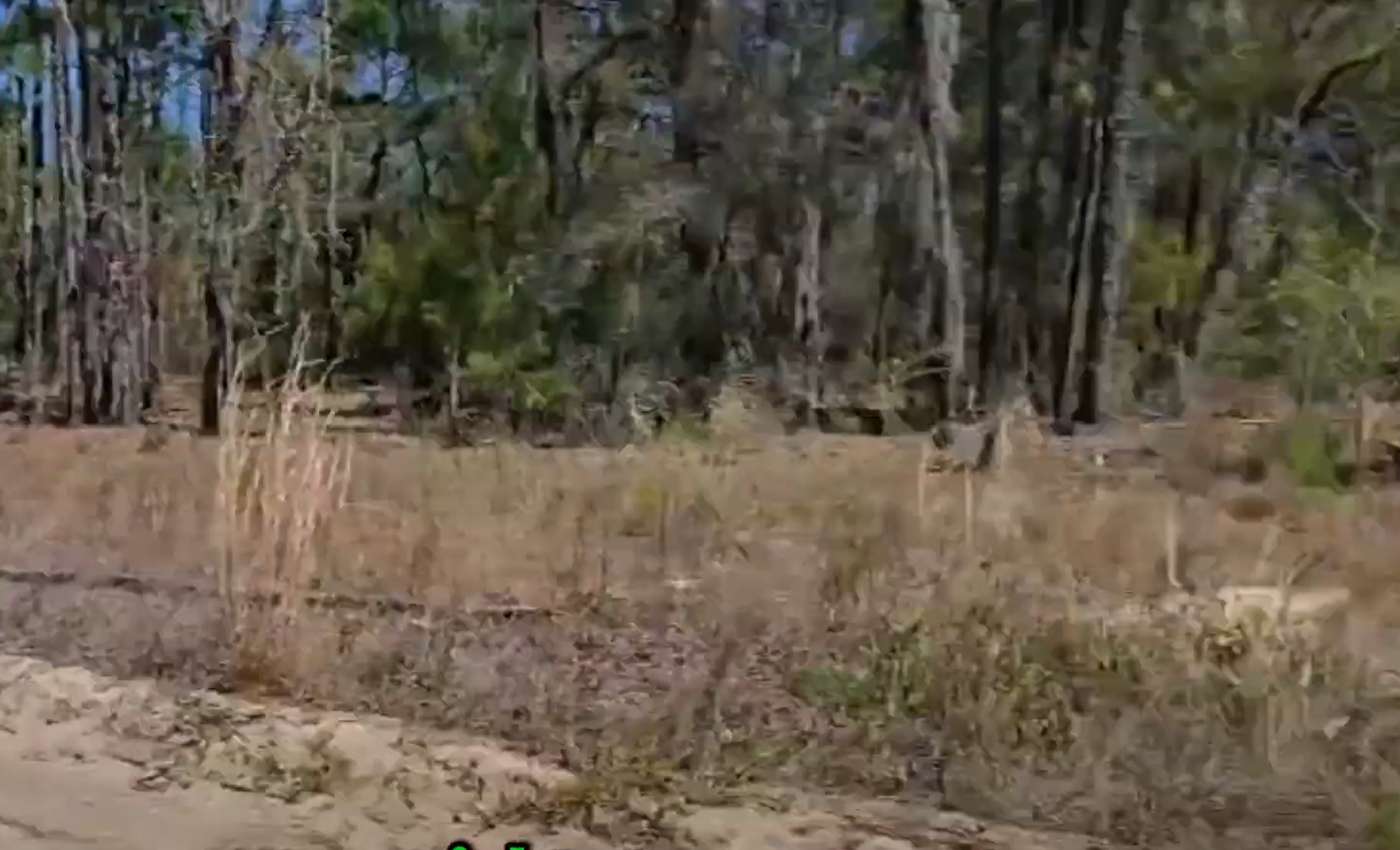 Marjak Lane: Great outdoors. Scenic views. Amenities for you to explore.