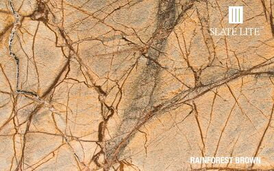 Slate-Lite RAINFOREST BROWN
