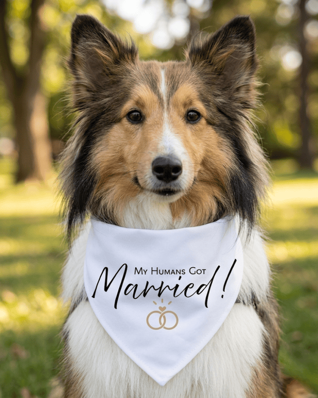 Signature Collection Married Bandana