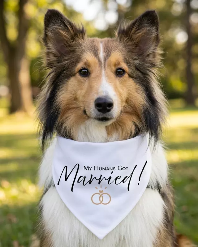 Signature Collection Married Bandana