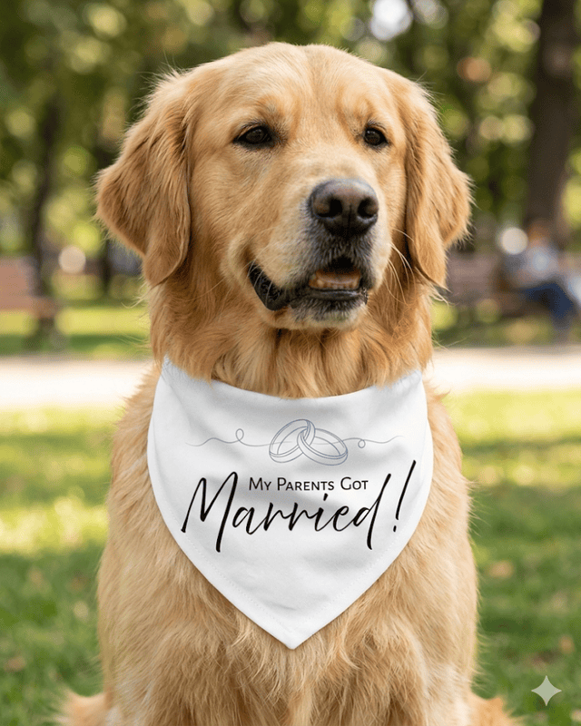Signature Collection Married Bandana
