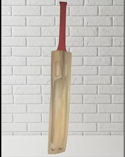 Master - Double Blade - Kashmir Willow - Cricket Bat Master - Double Blade - Kashmir Willow - Cricket Bat