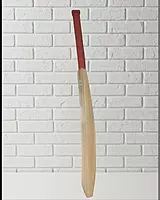 Master - Double Blade - Kashmir Willow - Cricket Bat Master - Double Blade - Kashmir Willow - Cricket Bat