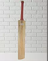 Master - Double Blade - Kashmir Willow - Cricket Bat Master - Double Blade - Kashmir Willow - Cricket Bat