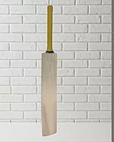 Master - Soft Tennis - Popular Willow - Cricket Bat Master - Soft Tennis - Popular Willow - Cricket Bat