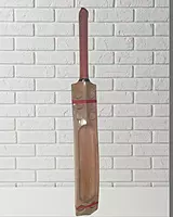 Master - Soft Tennis - Popular Willow - Cricket Bat Master - Soft Tennis - Popular Willow - Cricket Bat