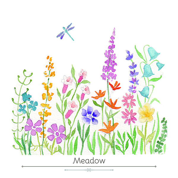 Meadow Product Display Card