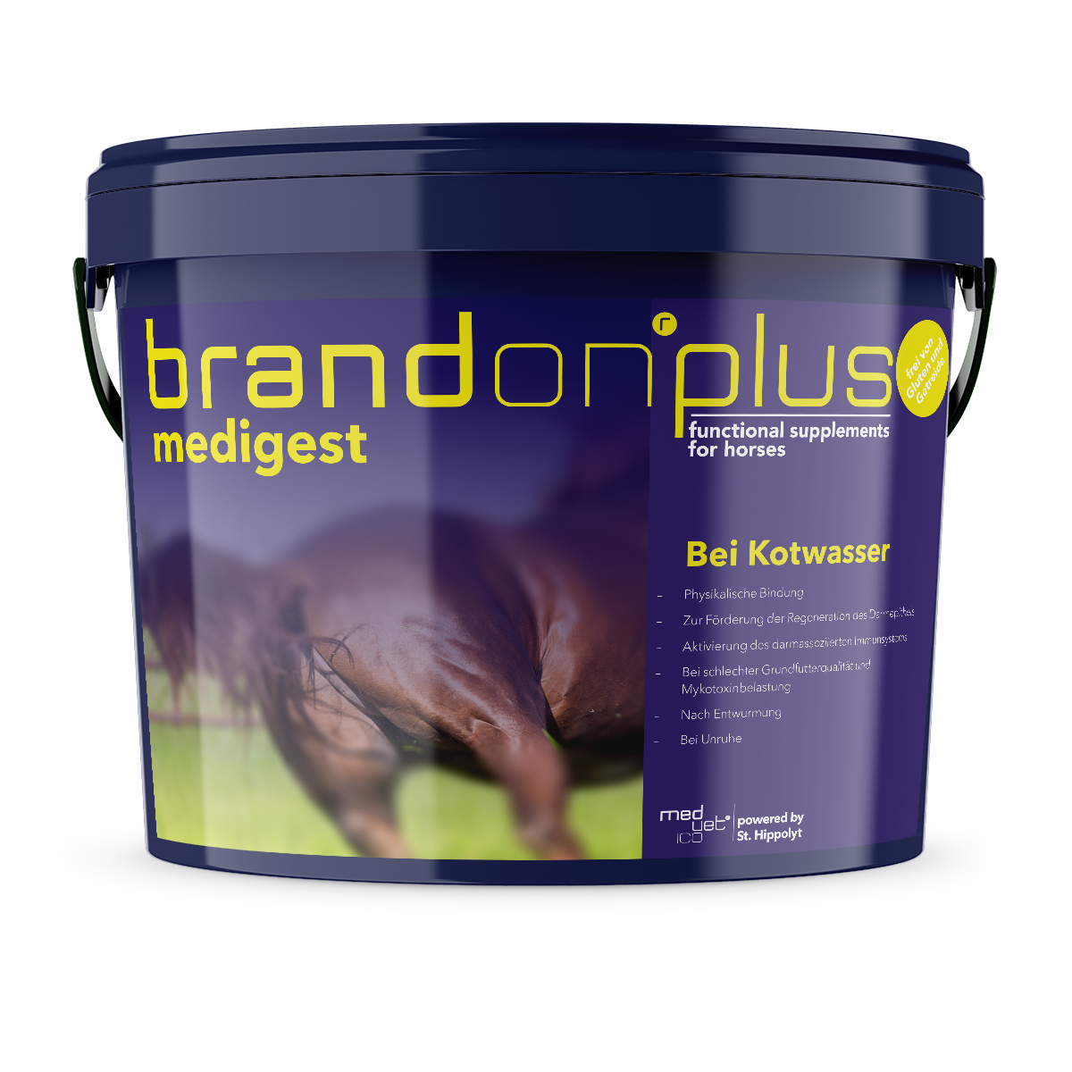 BrandonPlus Medigest