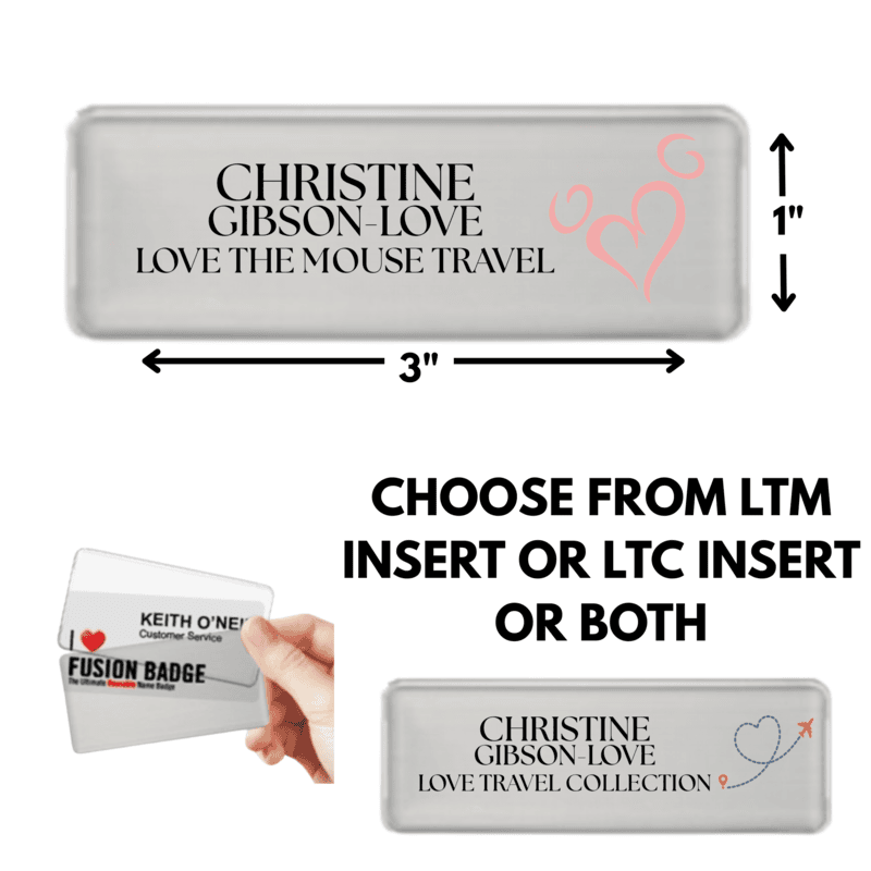 Name Badge with Insert(s)