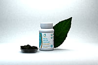 Metal Detox Support