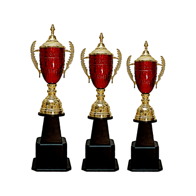 Metal Sports Cup BB1479