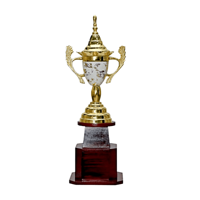 Metal Sports Trophy BB1455