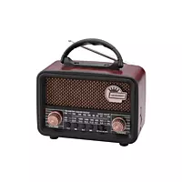 Microdigit Portable Radio Speaker MD011R