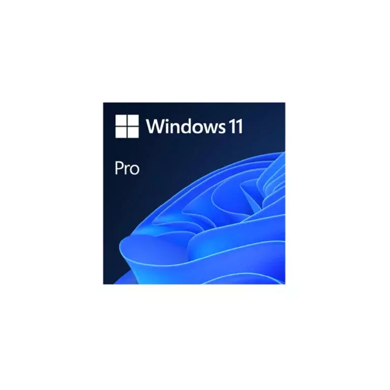 Microsoft Windows 11 Professional 64Bit OEM |