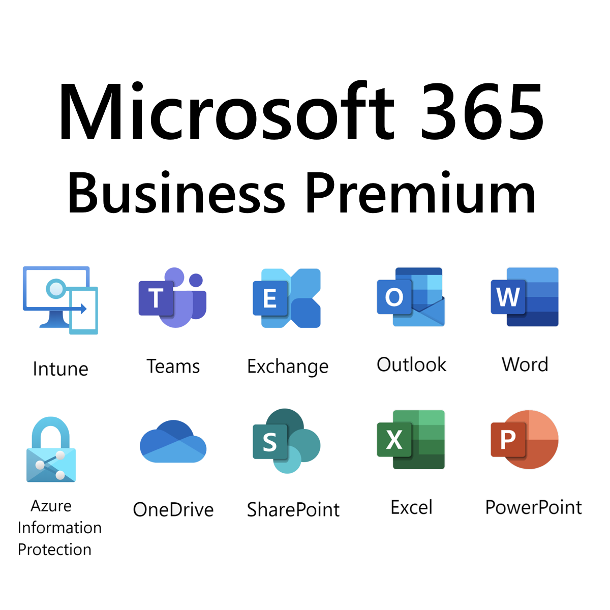 MS365 For Business MS365 For Business