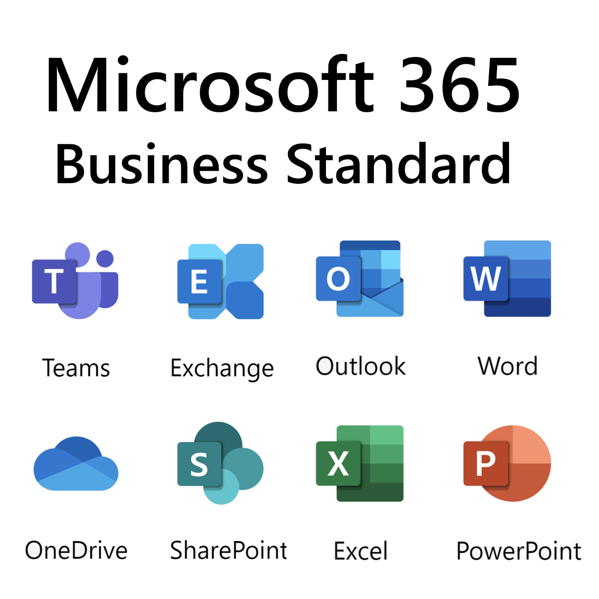 MS365 For Business MS365 For Business
