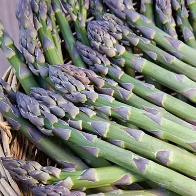 Millenium Asparagus (1 Year Old Crown)