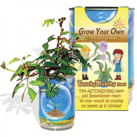 Touchy Mutchy Plant Growing Kit