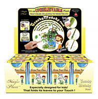 Touchy Mutchy Plant Growing Kit