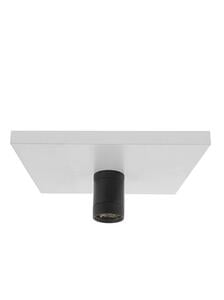 inlite-MINI SCOPE CEILING