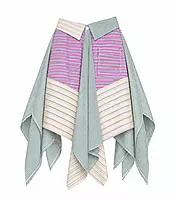The Mini Skirt