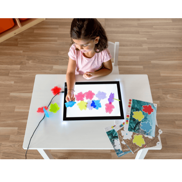 Miniland Translucent Math Turtles