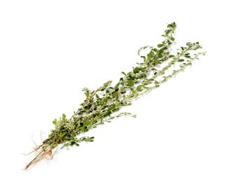 Monarakudumbiya (200gm)