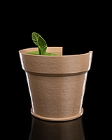 Monstera Vase Wall Light