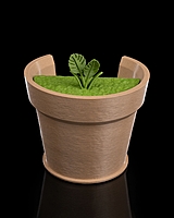 Monstera Vase Wall Light