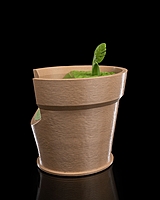 Monstera Vase Wall Light