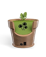 Monstera Vase Wall Light